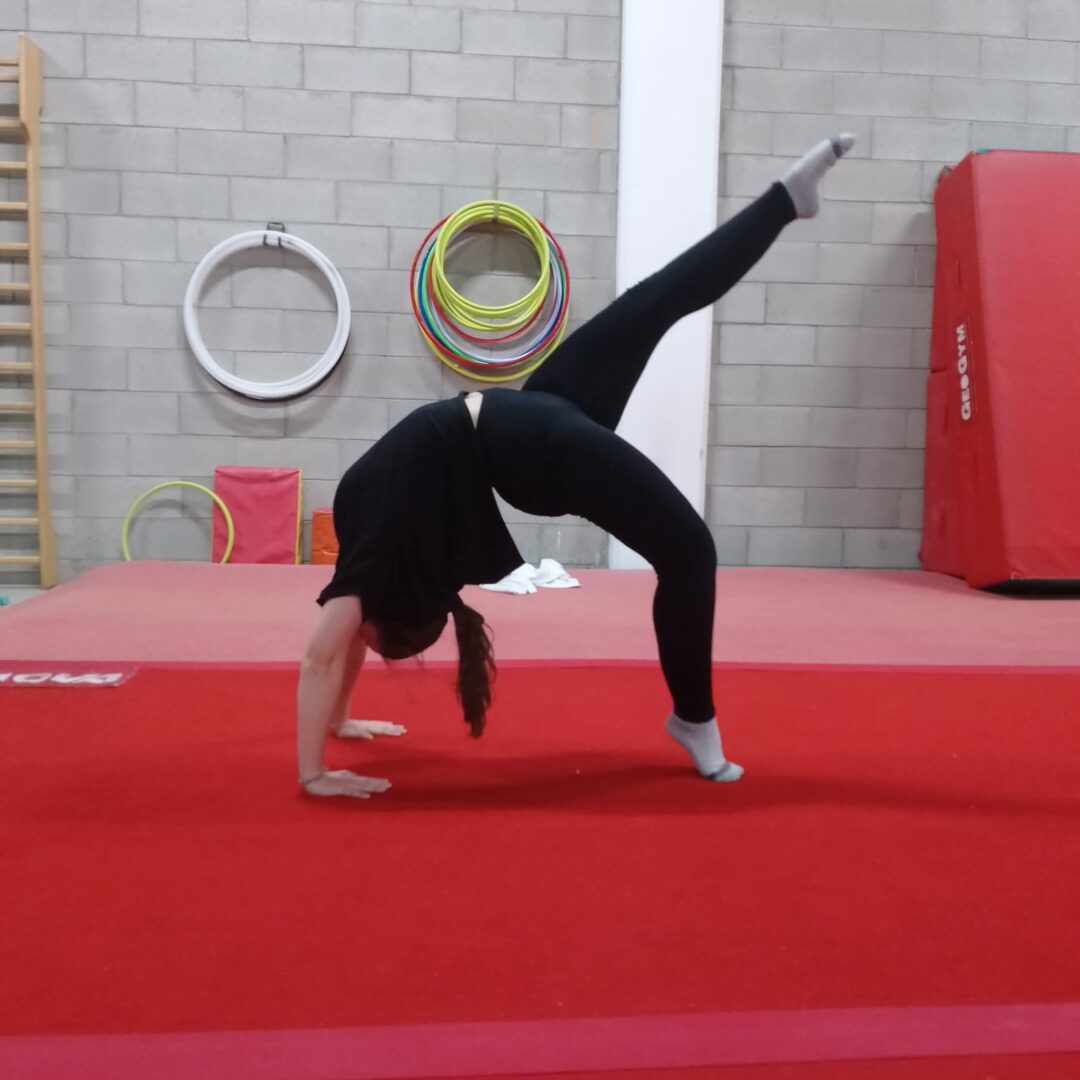 08e39524-8181-4000-80a0-727884b2ee70 08e39524-8181-4000-80a0-727884b2ee70